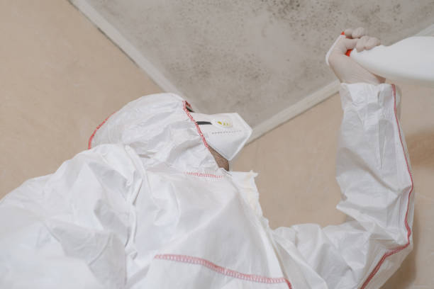 Nashwauk, MN Mold Removal Company